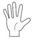 5 Fingers